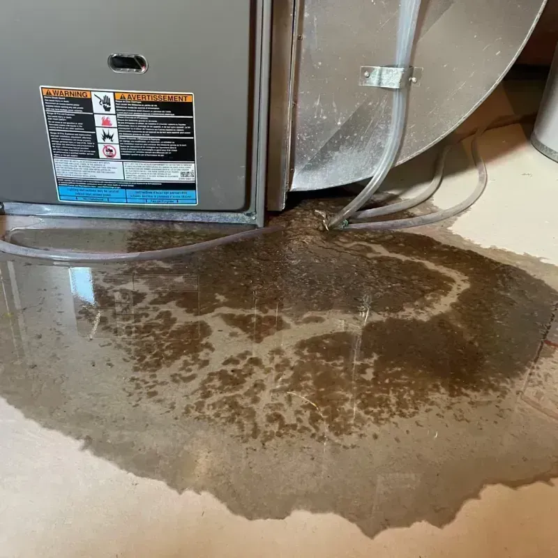 Appliance Leak Cleanup in Bennett, CO